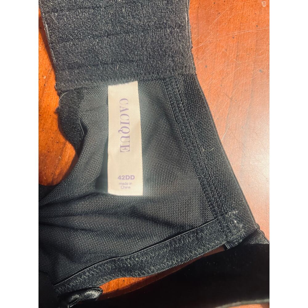 NWOT Lane Bryant Seriously Sexy Womens Bra 42DD Cupless Black & Beige Lace Sheer - Picture 9 of 9